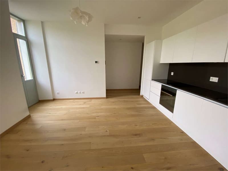 LUGANO - Appartamento ristrutturato in centro (3)