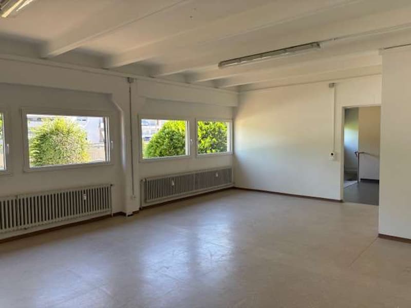 MORBIO/CHIASSO Espace commercial (6)