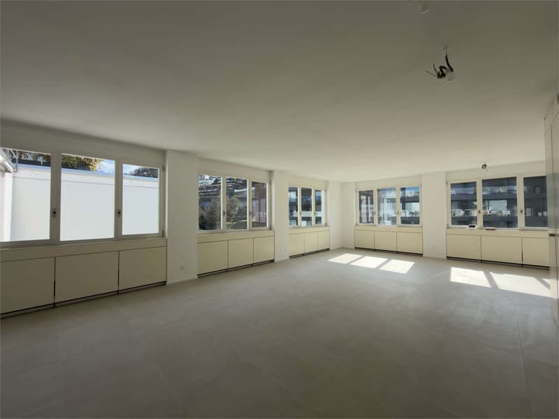 Bureaux rénovés avec vue sur le lac (3)