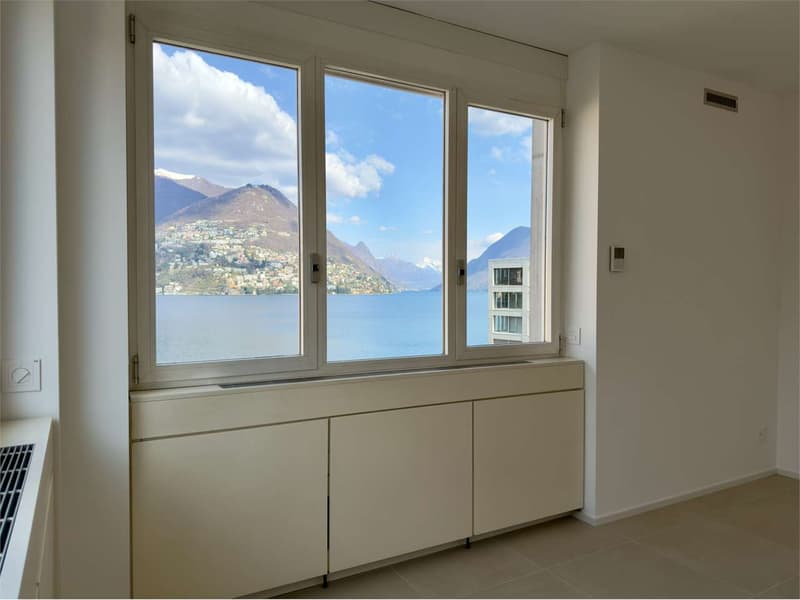 Bureaux rénovés avec vue sur le lac (6)