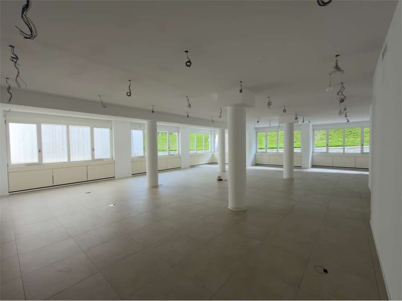 Bureaux rénovés avec vue sur le lac (12)