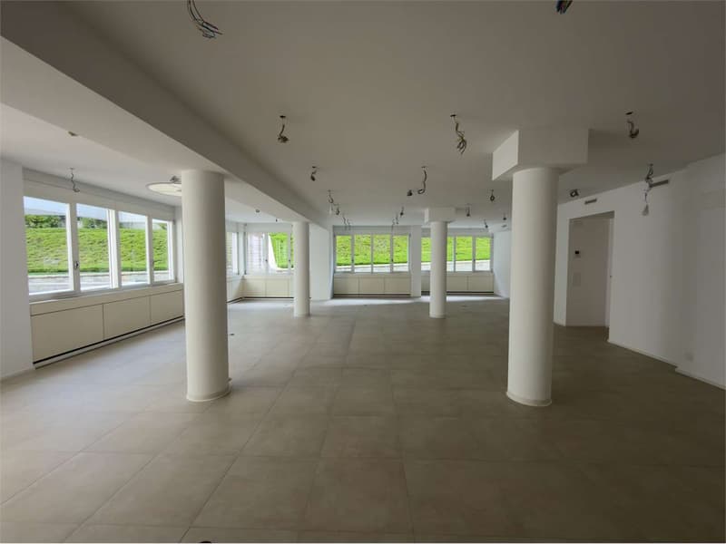 Bureaux rénovés avec vue sur le lac (13)