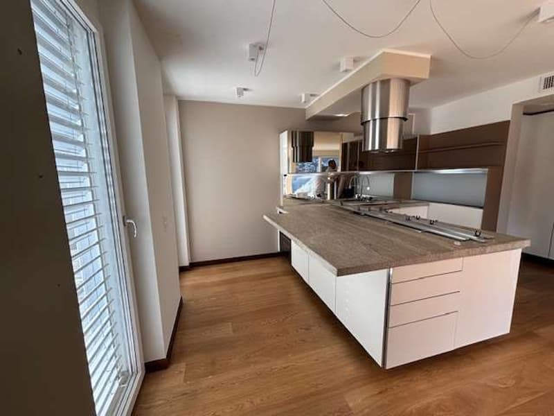 3.5 room apartment with lake and city view (10)