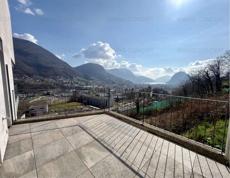 3.5 room apartment with lake and city view (3)