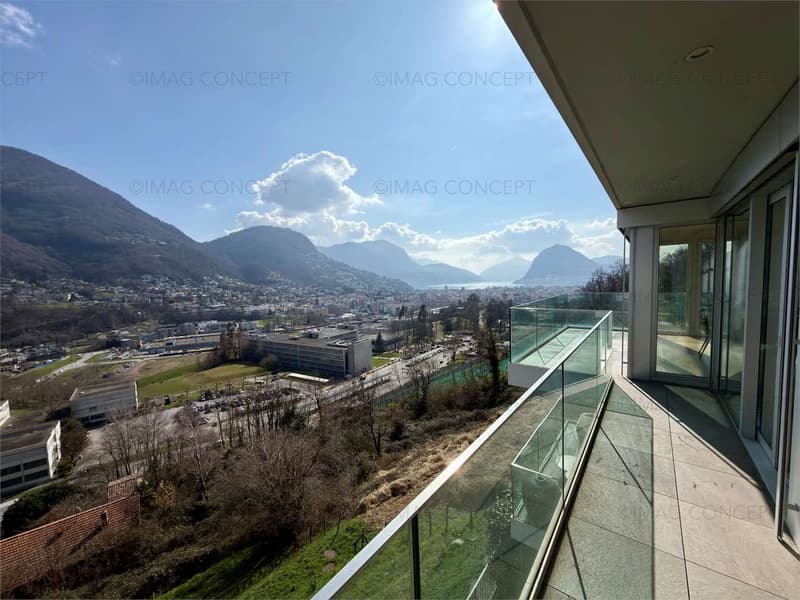 3.5 room apartment with lake and city view (2)