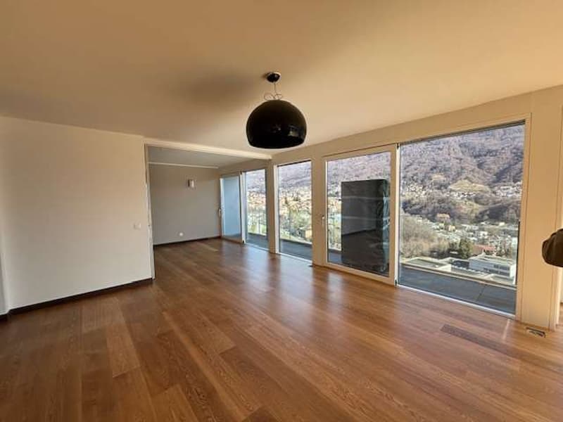 3.5 room apartment with lake and city view (13)