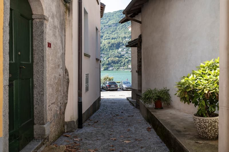 Narrow cobblestone alley between two buildings with lake view, cars parked at the end, small plants on the side