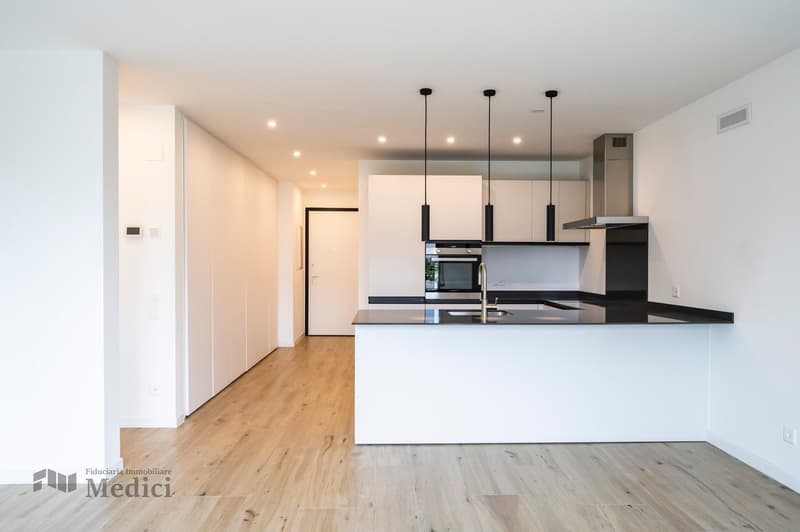 MODERNO ED ELEGANTE APPARTAMENTO 2.5 LOCALI IN POSIZIONE STRATEGICA (3)