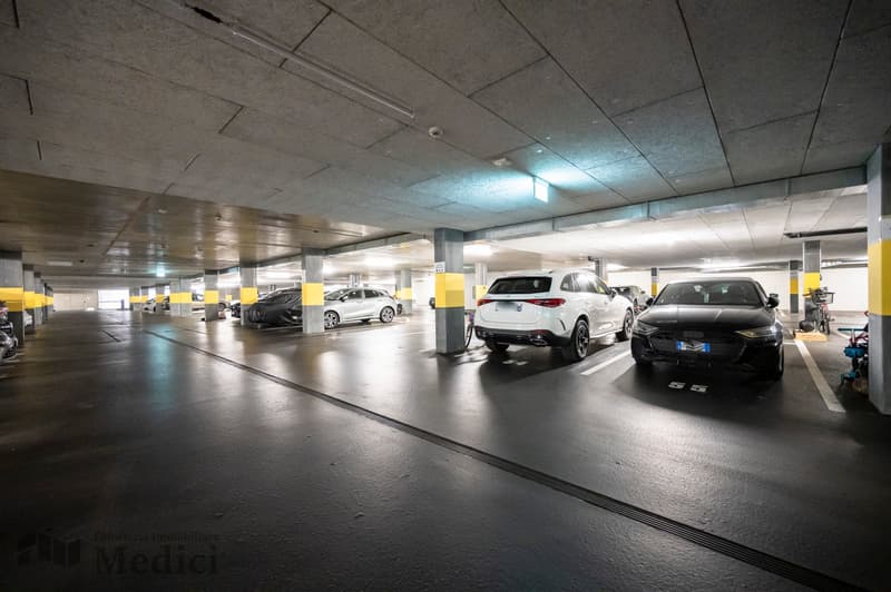 AMPIO E LUMINOSO ATTICO 3.5 LOCALI IN POSIZIONE STRATEGICA (15)