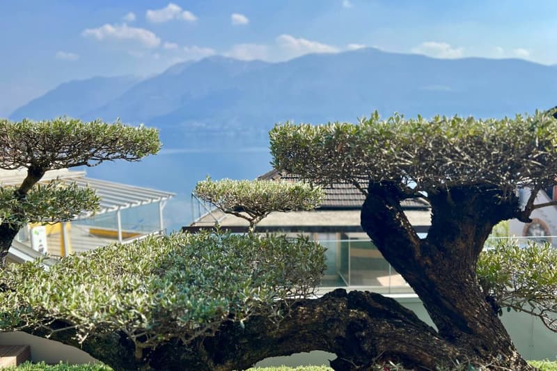 Lussuoso appartamento di 2,5 camere vicino al lago (38)