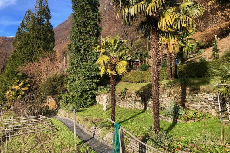 VENDUTO ! Casa ticinese con ampio giardino e rustico separato (35)