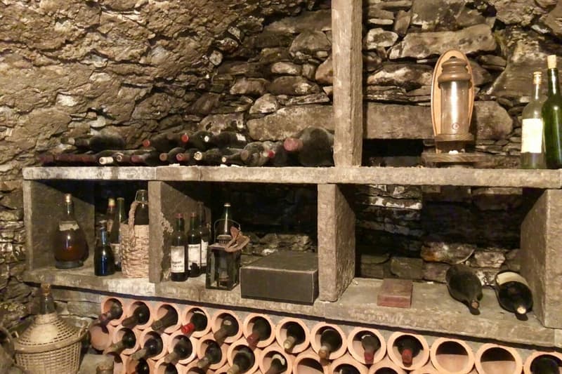 VENDUTO ! Casa ticinese con ampio giardino e rustico separato (33)