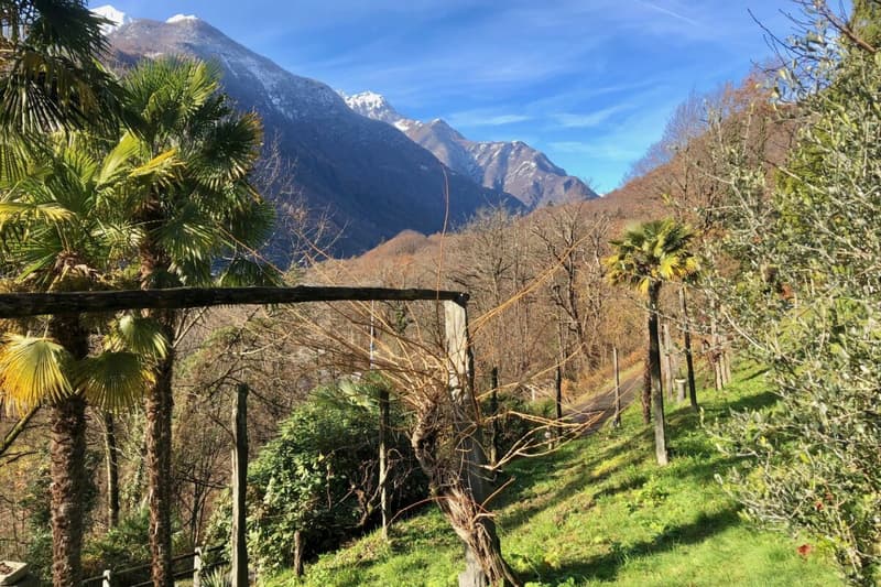 VENDUTO ! Casa ticinese con ampio giardino e rustico separato (39)