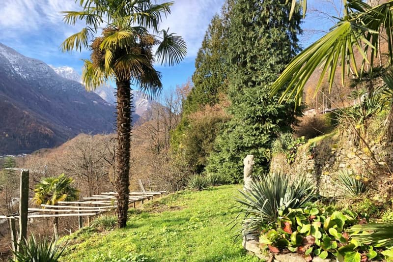 VENDUTO ! Casa ticinese con ampio giardino e rustico separato (24)