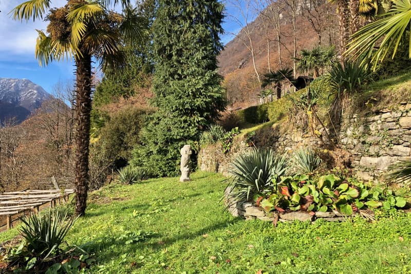 VENDUTO ! Casa ticinese con ampio giardino e rustico separato (2)
