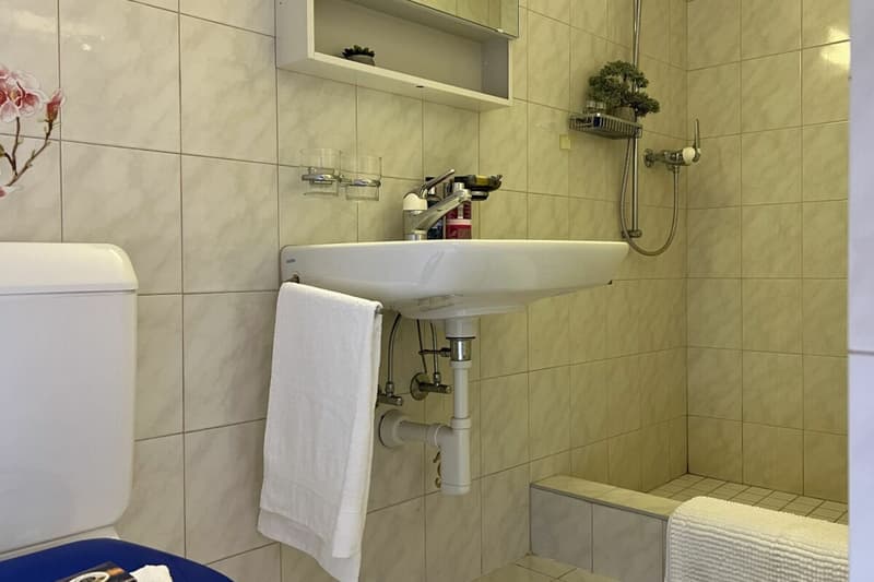 VENDUTO !!! Affascinante casa indipendente con studio separato (30)