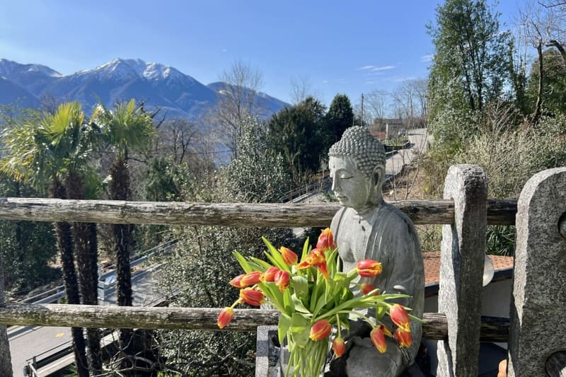 VENDUTO !!! Affascinante casa indipendente con studio separato (36)