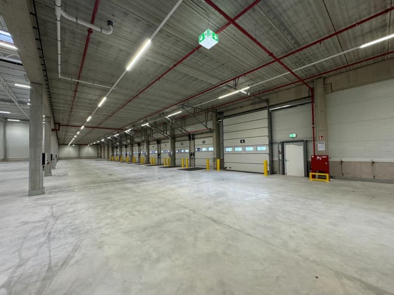 Germania - Nuovo edificio "Logistikpark "Nohra" situato in Turingia vicino a Erfurt copia (9)
