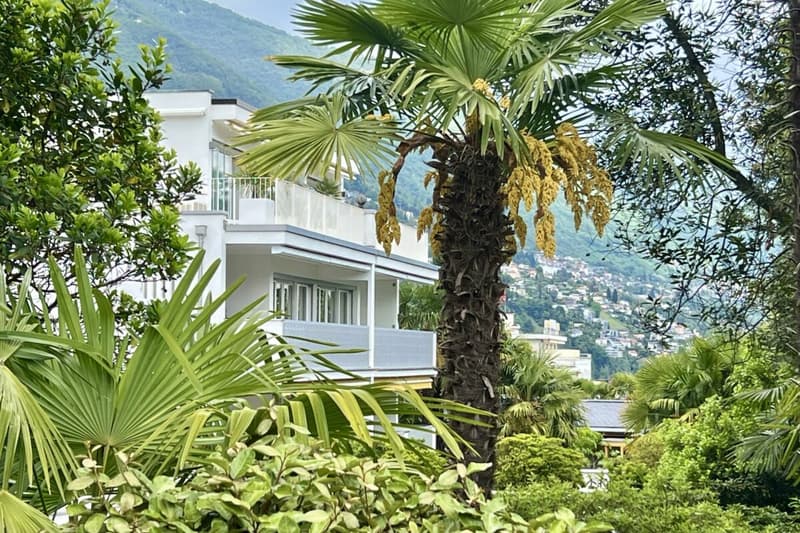 Charmant appartement 3.5 pièces en soleil avec vue partielle sur le lac et piscine intérieure commune (16)