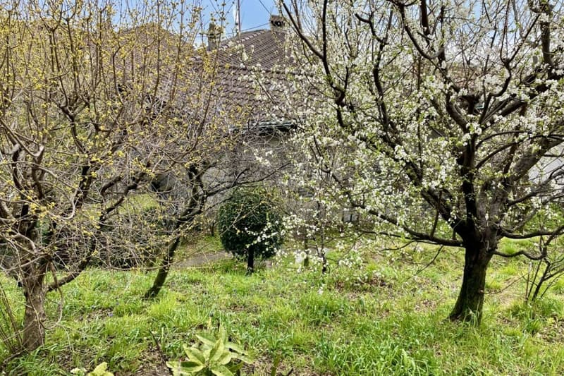Grande casa di paese con vista lag, giardino e parcheggio (60)