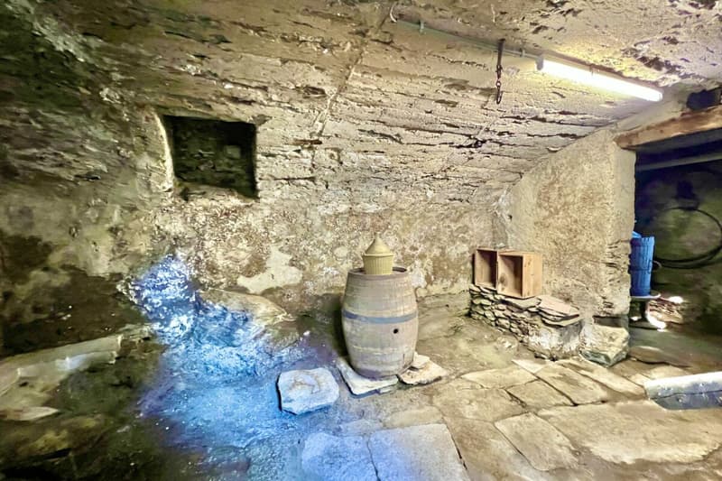 Grande casa di paese con vista lag, giardino e parcheggio (51)