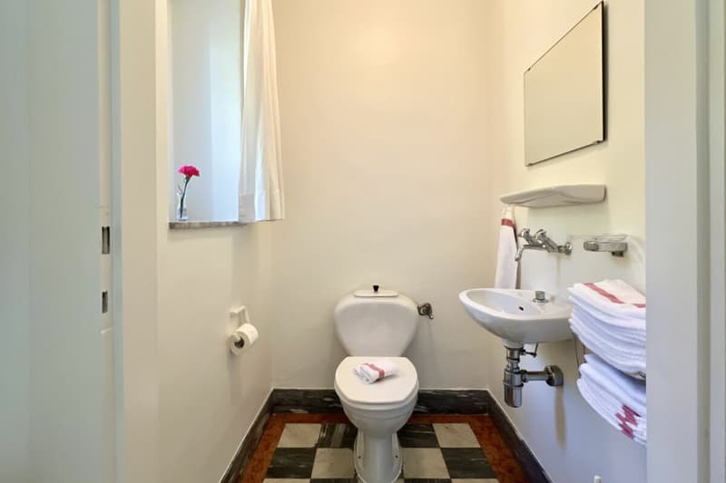 Herrschaftliche Villa mit grossem Grundstück und 180° Seesicht (47)