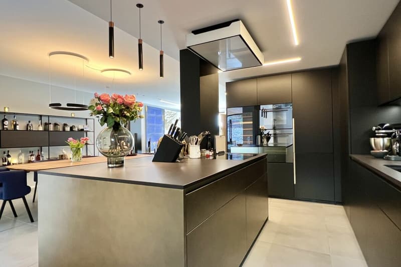 Appartement de ville luxueux avec jardin et terrasse près du lac et du centre (2)