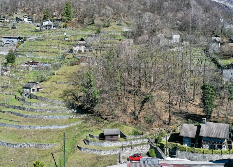 Charmantes Rustico mit grossem Grundstück und schöner Seesicht (33)