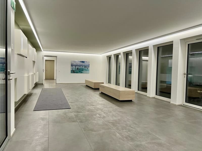 Perfetto appartamento in città a Muralto in posizione tranquilla e molto centrale (24)