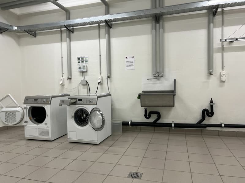 Perfetto appartamento in città a Muralto in posizione tranquilla e molto centrale (23)
