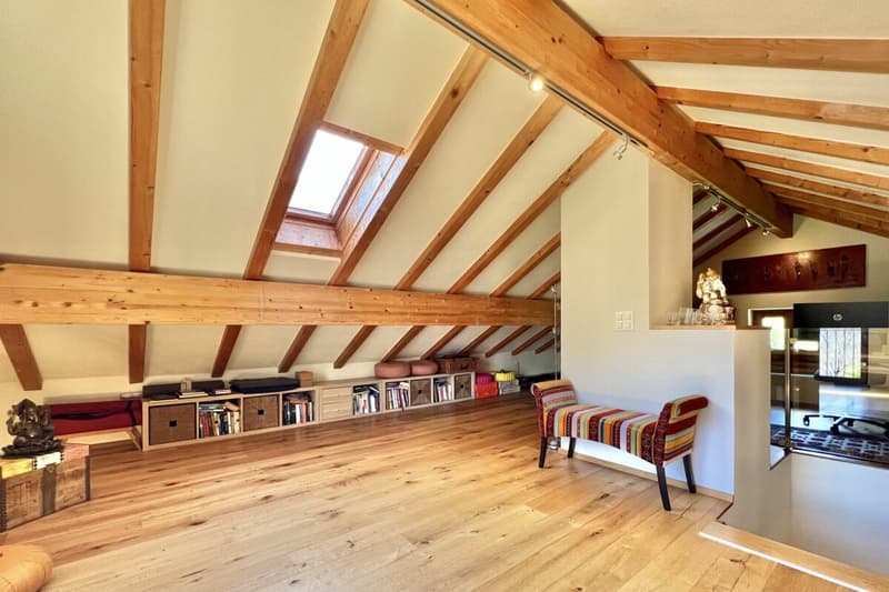 Belle maison unifamiliale dans un endroit ensoleillé avec un grand jardin, vignoble privé et ascenseur (21)