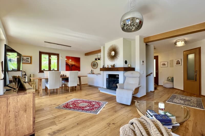 Belle maison unifamiliale dans un endroit ensoleillé avec un grand jardin, vignoble privé et ascenseur (8)