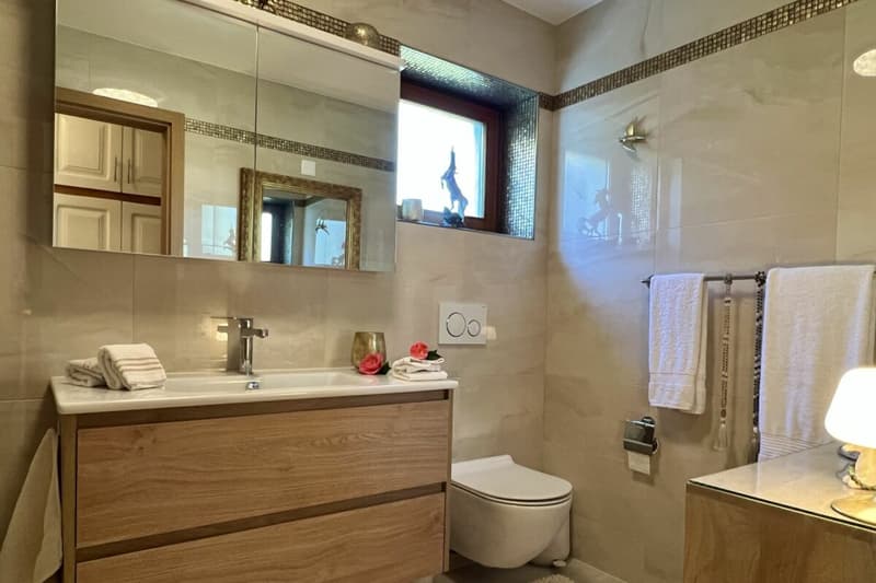 Belle maison unifamiliale dans un endroit ensoleillé avec un grand jardin, vignoble privé et ascenseur (32)
