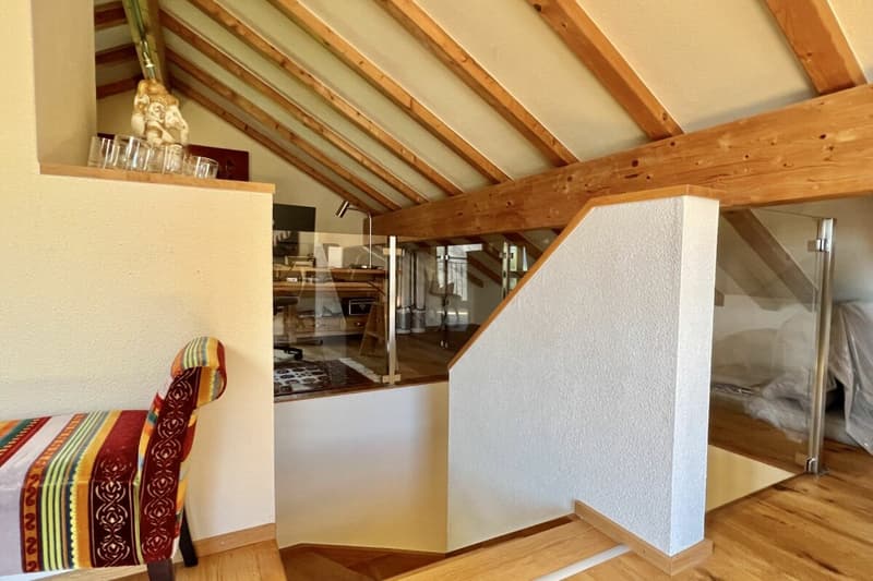 Belle maison unifamiliale dans un endroit ensoleillé avec un grand jardin, vignoble privé et ascenseur (20)
