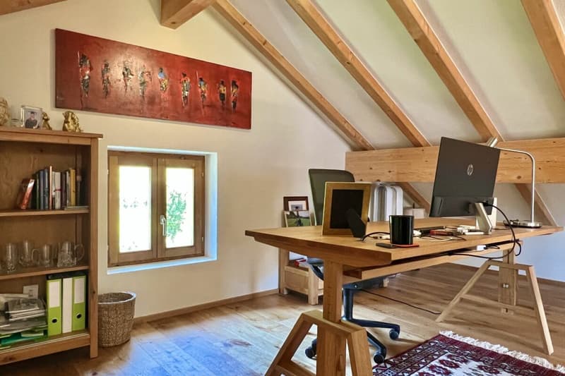 Belle maison unifamiliale dans un endroit ensoleillé avec un grand jardin, vignoble privé et ascenseur (22)