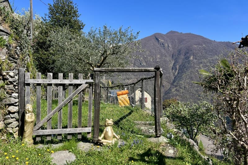 Belle maison unifamiliale dans un endroit ensoleillé avec un grand jardin, vignoble privé et ascenseur (48)