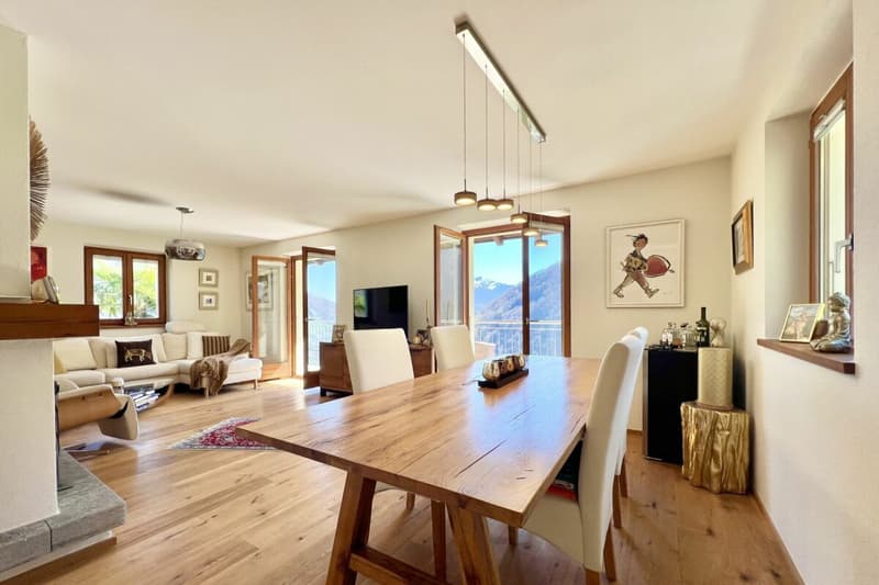 Belle maison unifamiliale dans un endroit ensoleillé avec un grand jardin, vignoble privé et ascenseur (12)