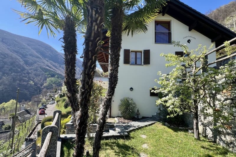 Belle maison unifamiliale dans un endroit ensoleillé avec un grand jardin, vignoble privé et ascenseur (55)