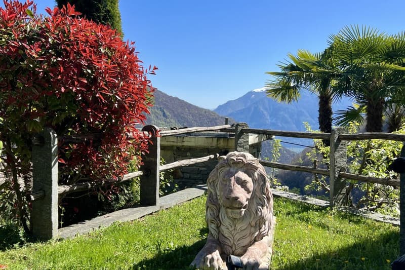 Belle maison unifamiliale dans un endroit ensoleillé avec un grand jardin, vignoble privé et ascenseur (45)