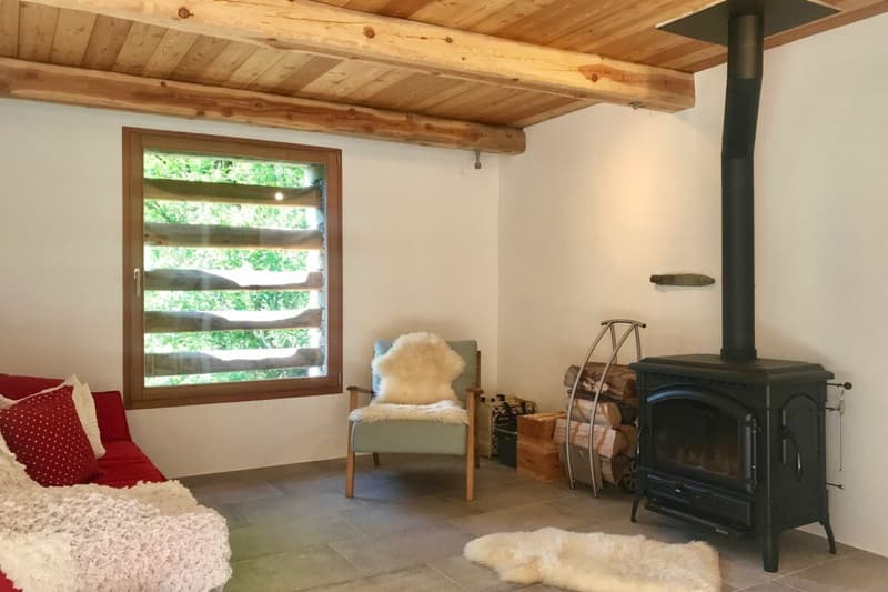 Maison de pierre charmante au milieu du vert (8)