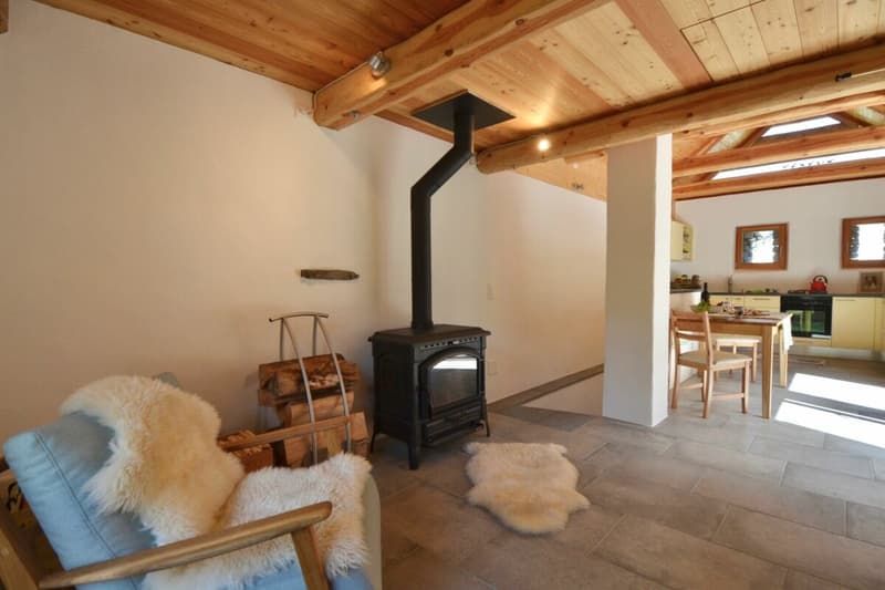 Maison de pierre charmante au milieu du vert (12)