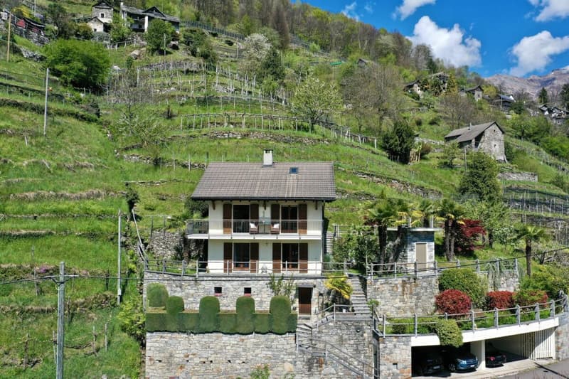 Belle maison unifamiliale dans un endroit ensoleillé avec un grand jardin, vignoble privé et ascenseur (42)