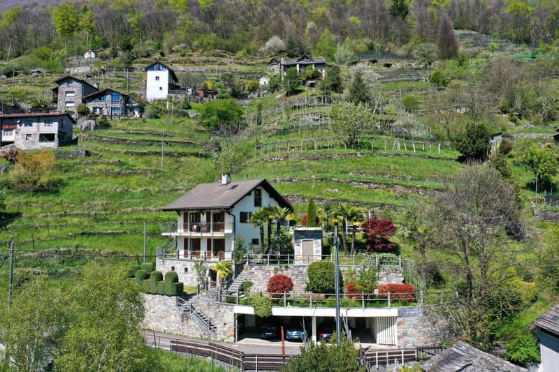 Belle maison unifamiliale dans un endroit ensoleillé avec un grand jardin, vignoble privé et ascenseur (62)