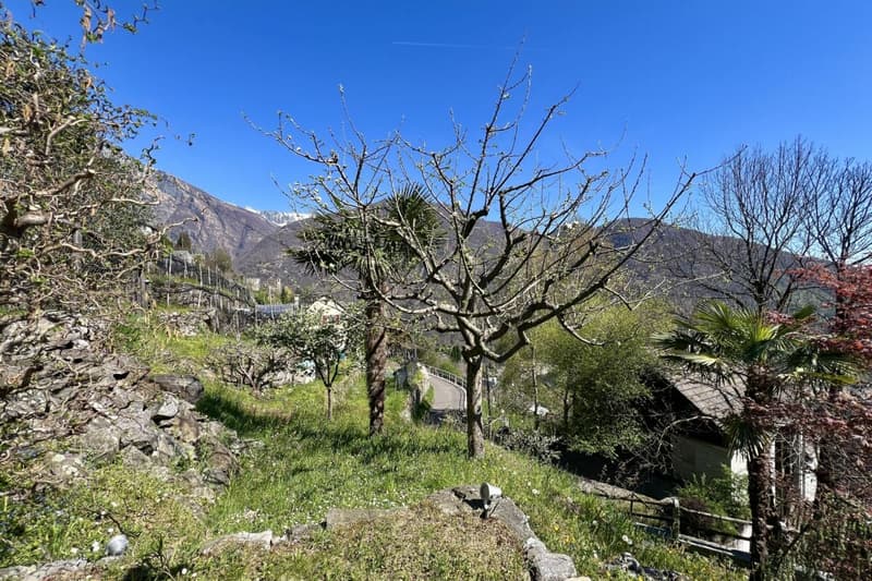 Belle maison unifamiliale dans un endroit ensoleillé avec un grand jardin, vignoble privé et ascenseur (52)