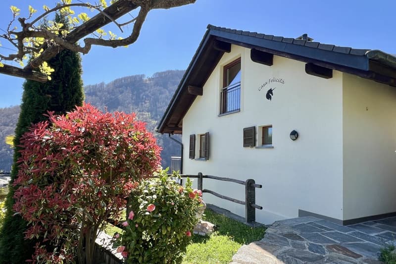 Belle maison unifamiliale dans un endroit ensoleillé avec un grand jardin, vignoble privé et ascenseur (43)