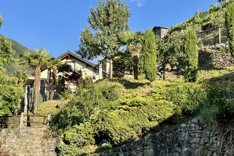 Belle maison unifamiliale dans un endroit ensoleillé avec un grand jardin, vignoble privé et ascenseur (7)