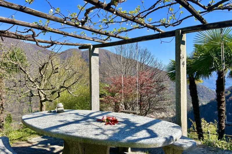Belle maison unifamiliale dans un endroit ensoleillé avec un grand jardin, vignoble privé et ascenseur (50)