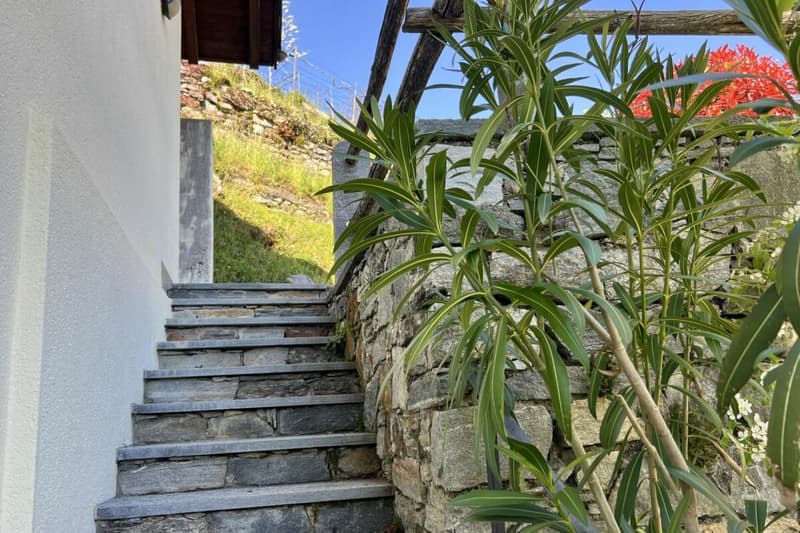 Belle maison unifamiliale dans un endroit ensoleillé avec un grand jardin, vignoble privé et ascenseur (63)