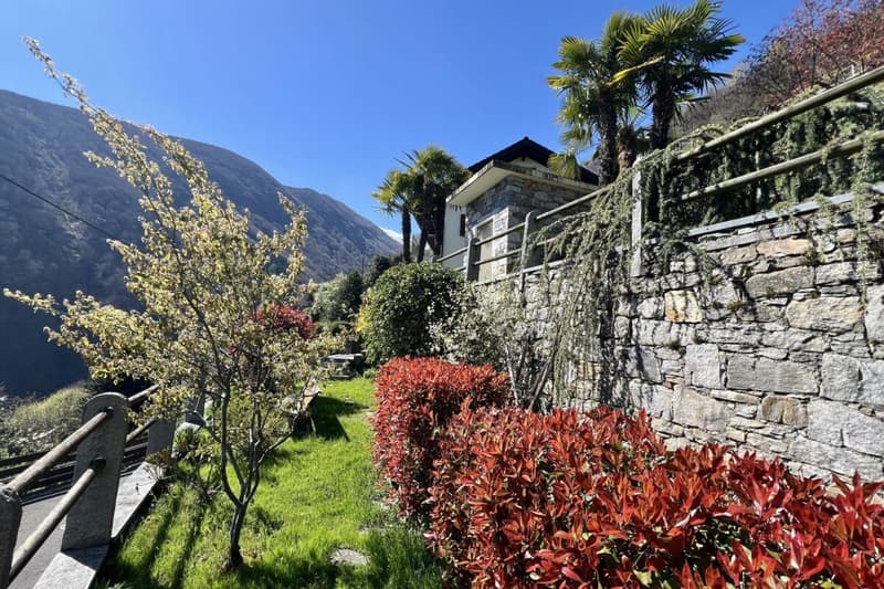 Belle maison unifamiliale dans un endroit ensoleillé avec un grand jardin, vignoble privé et ascenseur (56)