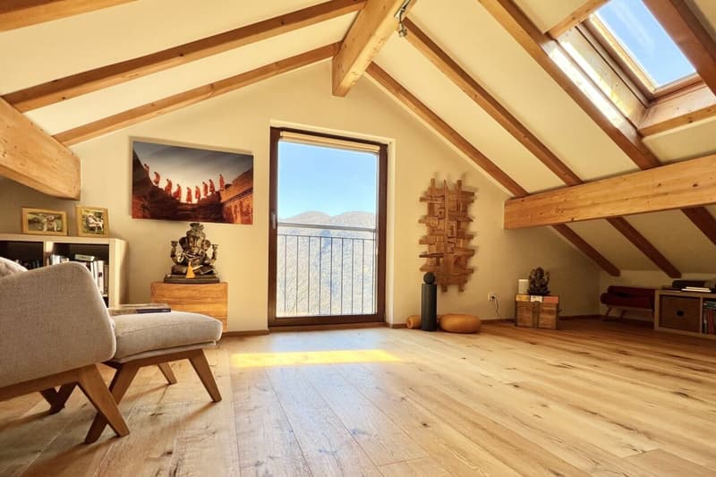 Belle maison unifamiliale dans un endroit ensoleillé avec un grand jardin, vignoble privé et ascenseur (18)